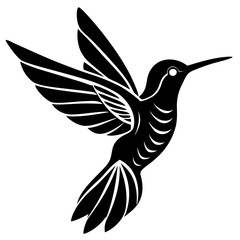 vector illustration of hummingbird detailed color