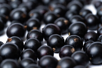 black currant berries