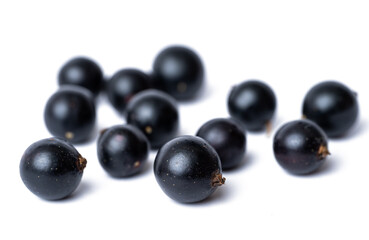 black currant berries