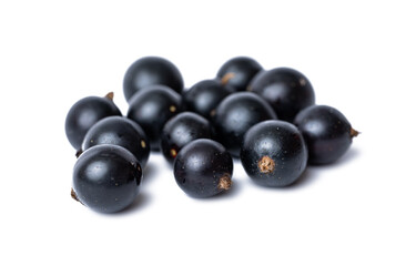 black currant berries