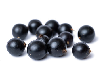 black currant berries