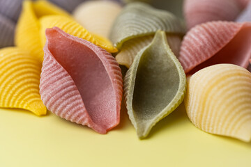 colored pasta shells