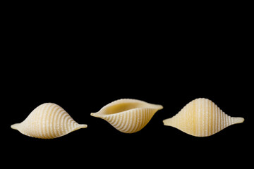 colored pasta shells