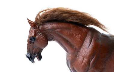 horse isolated