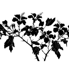 Detailed Maple Branch Silhouette – Intricate Black Botanical Vector
