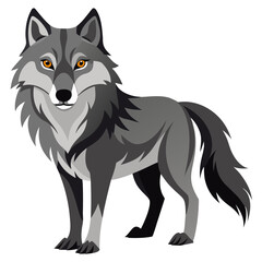 Fototapeta premium Gray wolf standing confidently with piercing yellow eyes 