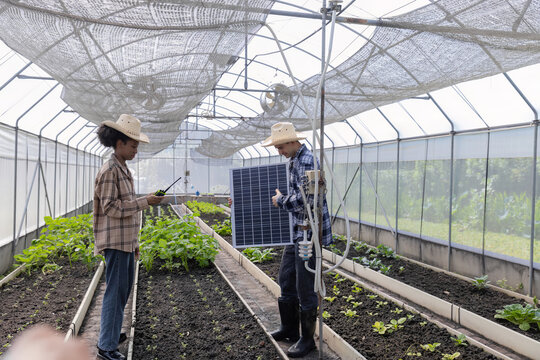 Farmer man inspecting a solar panel device for greenhouse for cultivation of vegetable food. Woman farmer and worker talking to choose high efficiency photovoltaic panel for renewable energy. - Powered by Adobe