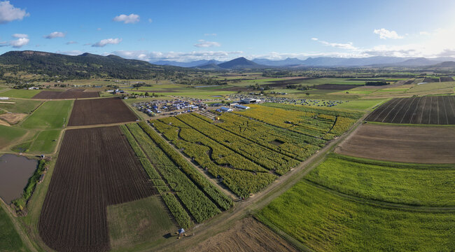 Aerial view of a patchwork of emerald and earthy-toned fields meeting the distant, hazy mountains under a vast, sun-drenched sky, Boonah, Queensland, Australia.