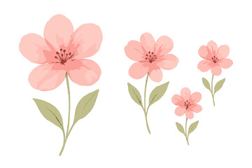 Fototapeta premium Watercolor Pink Flower Vector Illustration Set, Multiple Sizes, Transparent Background, Elegant Floral Clipart, Hand Painted Botanical Elements, Isolated PNG Design