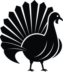 Black turkey bird with fanned tail fowl poultry