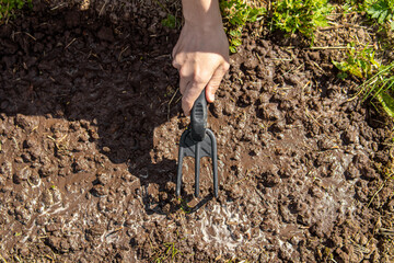 A man loosens the soil with a mini garden rake. Preparing the soil for planting plants or flowers....
