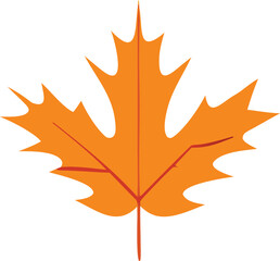 Obraz premium Orange autumn leaf with red veins vector