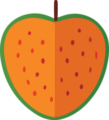 Orange fruit with red seeds and green rind vector
