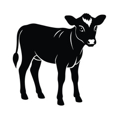 Fototapeta premium A young calf standing proudly in a black silhouette