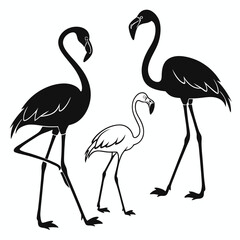 Silhouette of Three Graceful Flamingos Posing in Different Directions Elegant and Exotic Avian Imagery