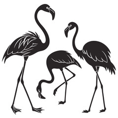 Flamingo Silhouettes in Elegant Poses A Study in Contrasting Shapes