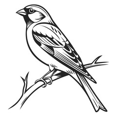 Detailed Vector Illustration of a Sparrow Perched on a Branch Classic Black and White Design