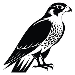 Majestic Falcon Illustration Standing Tall Bird of Prey Symbol of Power and Grace