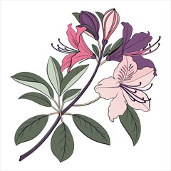 Flower  Vector 