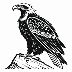 Majestic Eagle Perched on Rocky Peak Monochrome Illustration of a Bird of Prey