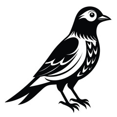 Stylized Black and White Illustration of a Songbird Perched on the Ground