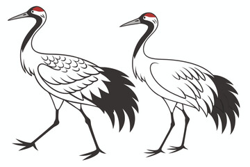 Elegant Red Crowned Cranes in Simple Black and White Illustration Style Nature and Wildlife