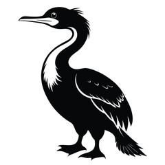 Elegant Cormorant Illustration Standing Proudly with Graceful Neck and Detailed Feathers Displayed in Black and White
