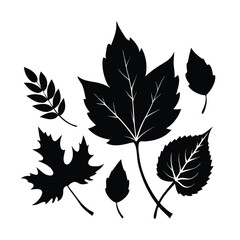 Black Leaves Silhouette Set