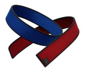 Reversible martial arts belt with contrasting colors for dual use