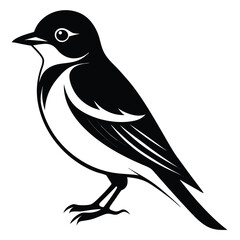 Stylized Black and White Bird Illustration with Clean Lines and Elegant Design Elements