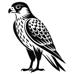 Majestic Peregrine Falcon Illustration Striking Black and White Bird of Prey Design