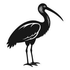 Fototapeta premium Striking Silhouette of an Ibis Elegant Bird with Long Beak