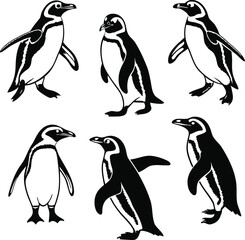 Obraz premium Penguin Silhouette Set – Antarctic Bird Vector Collection in Walking and Standing Poses