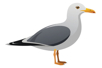 Elegant Seagull Illustration Standing Tall With Notable Yellow Beak And Striking Eye