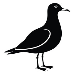 Black and White Silhouette of a Bird Standing Calmly Featuring its Beak and Body Shape