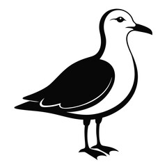 Elegant Seagull Silhouette Standing Tall Against a White Backdrop Simple and Striking