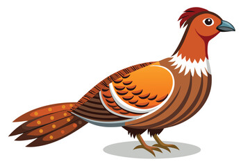 Colorful Pheasant Vector Illustration Bird Art Wildlife Drawing Fowl Poultry Design Graphic Cartoon