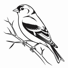 Stylized Black and White Illustration of a Bird Perched on a Branch with Thorns