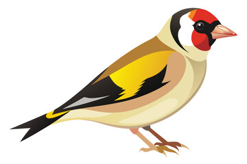 Colorful Goldfinch Bird Illustration Detailed Vector Artwork Birdwatching Nature Art
