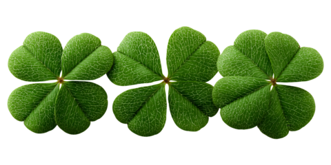 Three vibrant four leaf clovers in a row against black background Concept of good luck, Irish tradition, and St Patricks Day celebration