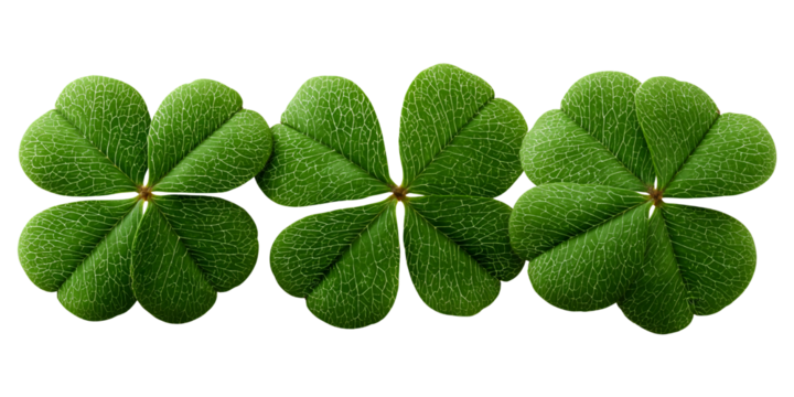Three vibrant four leaf clovers in a row against black background Concept of good luck, Irish tradition, and St Patricks Day celebration