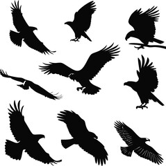 Obraz premium Set of Eagle Silhouettes in Flight and Attack Poses – Vector Illustration