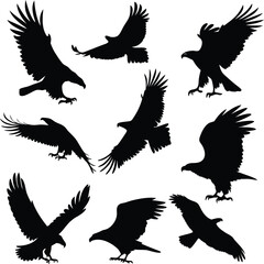 Obraz premium Set of Eagle Silhouettes in Flight and Attack Poses – Vector Illustration