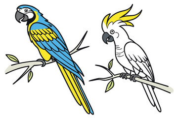 Vibrant Parrot Duo A Colorful Macaw and Elegant Cockatoo Perched on Branches Exuding Tropical Charm and Avian Beauty