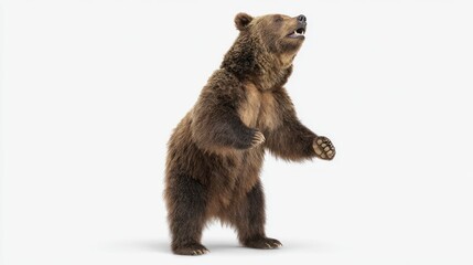 Obraz premium 3D rendered brown bear standing