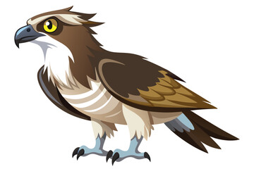 Cartoon Osprey Illustration Detailed Vector Artwork of a Bird of Prey with Striking Colors and Dynamic Poses for Art