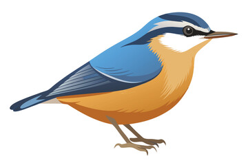 Colorful Nuthatch Illustration Detailed Bird Art Bright Colors Birdwatching Wildlife Enthusiasts Nature Art Ornithology Enthusiasts Avian Artwork Detailed Feathering