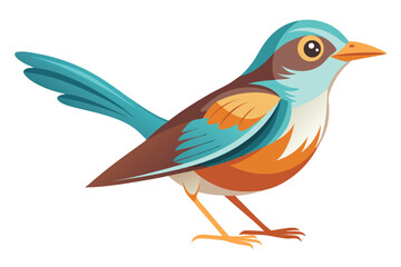 Stylized Bird Illustration with Teal and Brown Plumage Standing in a Side Profile on a White Background, Cute and Modern