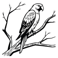 Monochrome Parrot Perched on a Branch An Artistic Black and White Illustration of Wildlife in a Natural Setting