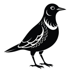 Stylized Black and White Bird Illustration A Classic Avian Representation with Artistic Feather Details and Elegant Silhouette